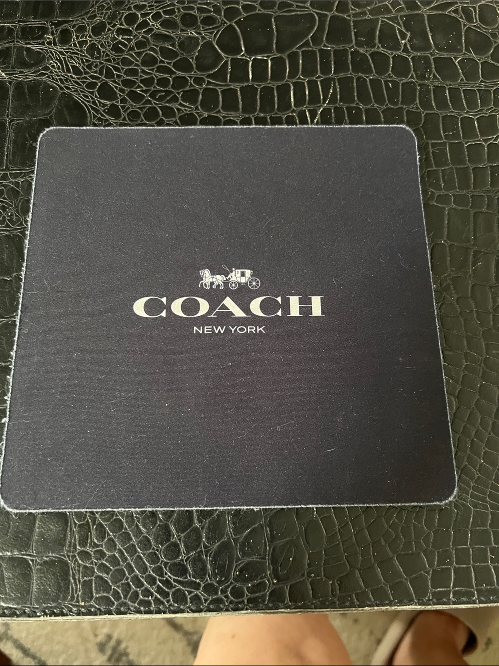 Coach Mouse Pad
